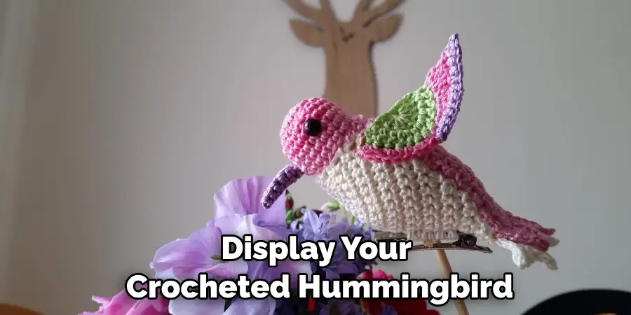 Display Your Crocheted Hummingbird