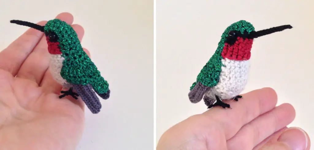 How to Crochet a Hummingbird