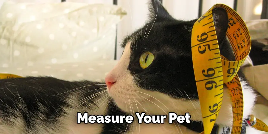 Measure Your Pet