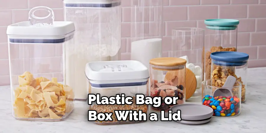 Plastic Bag or Box With a Lid