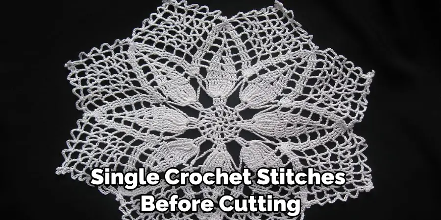 Single Crochet Stitches Before Cutting