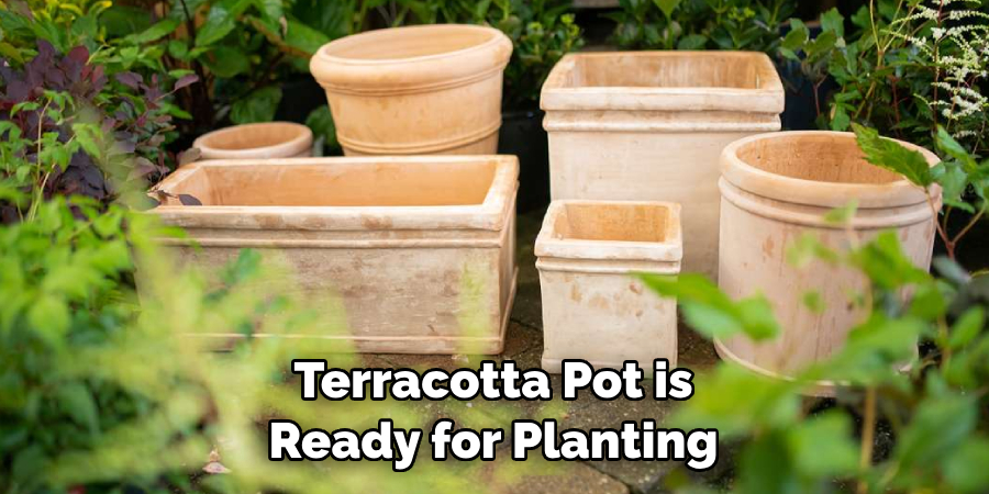 Terracotta Pot is Ready for Planting