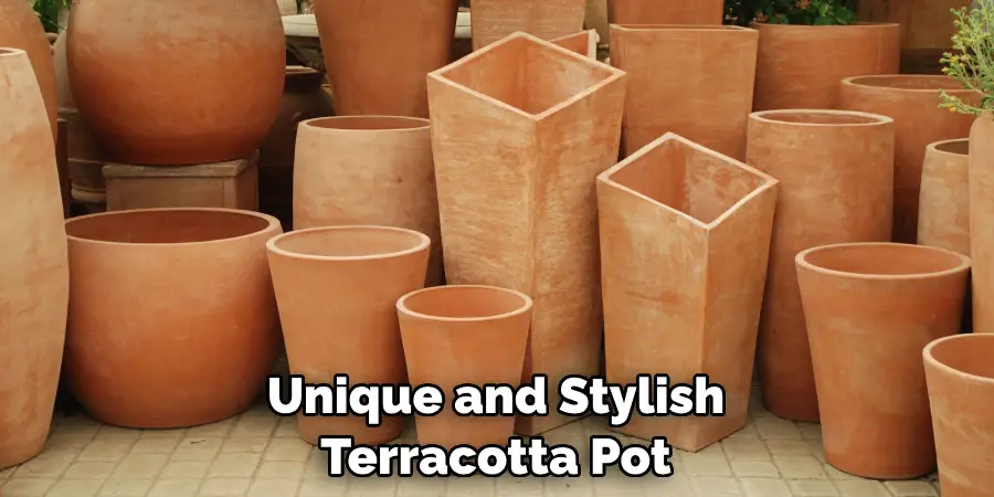 Unique and Stylish Terracotta Pot