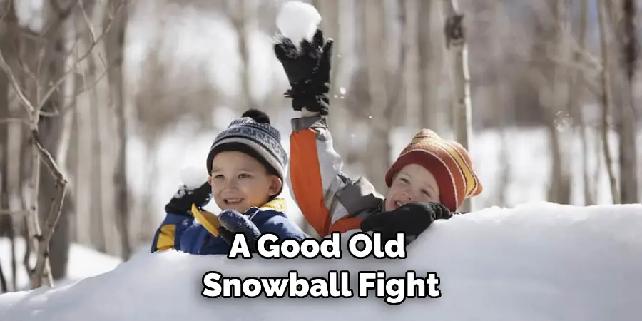 A Good Old Snowball Fight