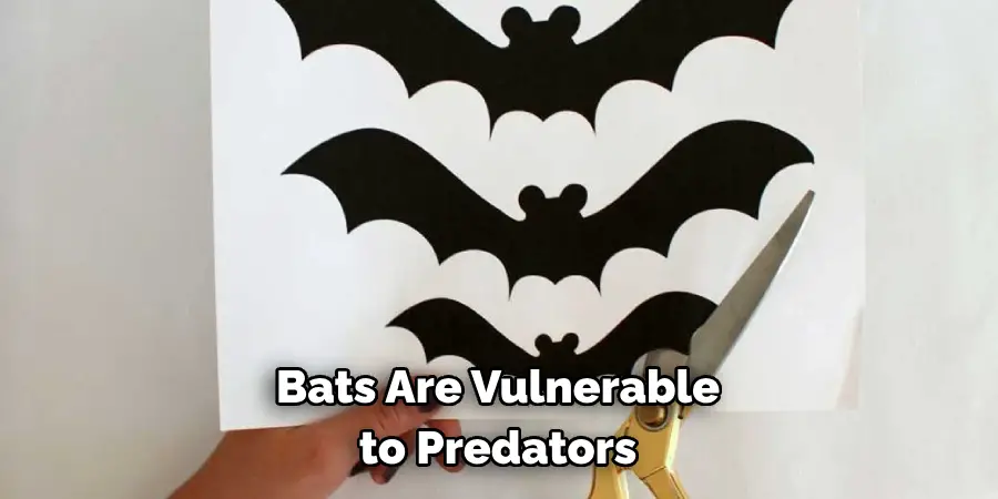 Bats Are Vulnerable to Predators