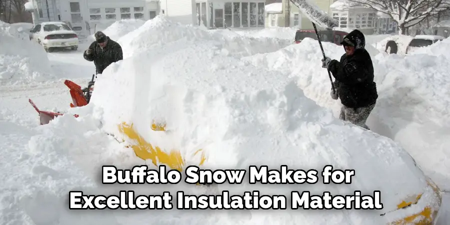  Buffalo Snow Makes for Excellent Insulation Material