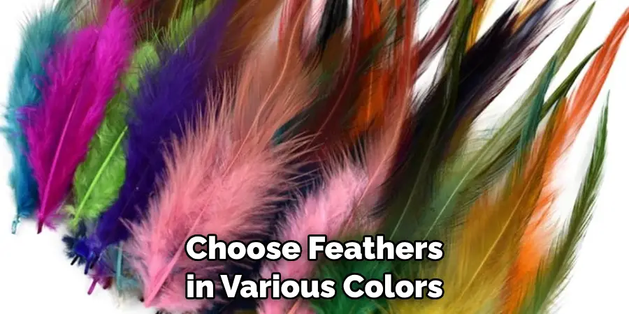 Choose Feathers in Various Colors