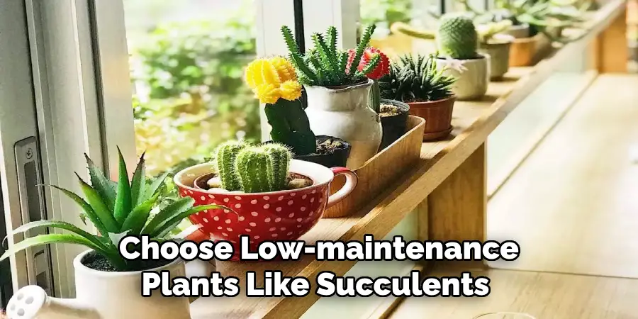 Choose Low-maintenance Plants Like Succulents 