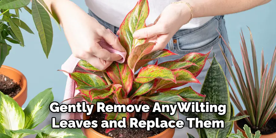 Gently Remove Any Wilting Leaves and Replace Them