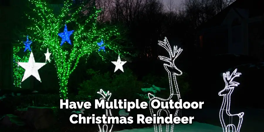 Have Multiple Outdoor Christmas Reindeer