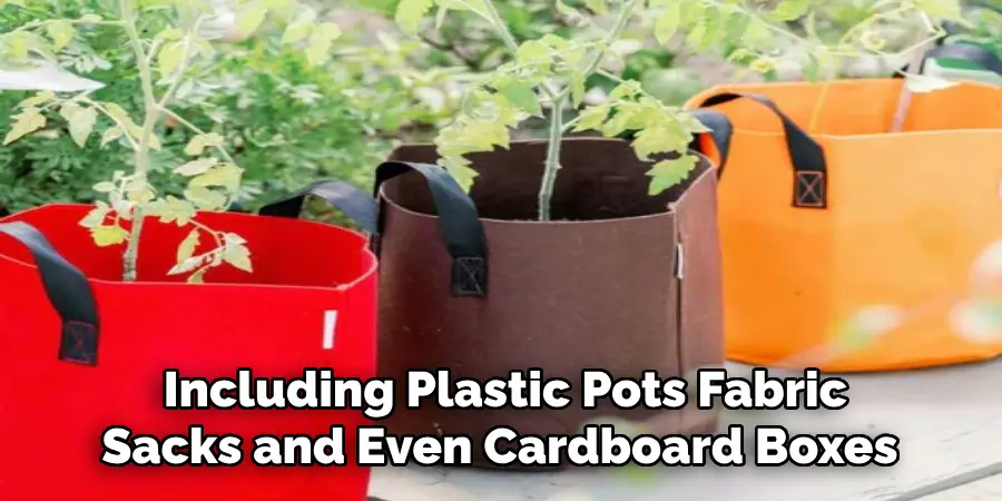  Including Plastic Pots Fabric Sacks and Even Cardboard Boxes