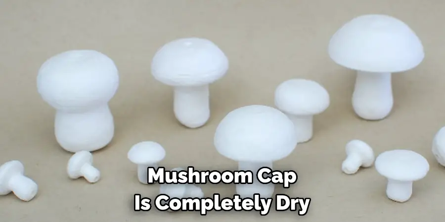 Mushroom Cap 
Is Completely Dry