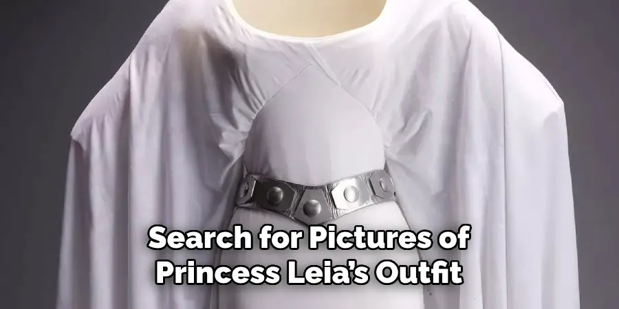 Search for Pictures of Princess Leia’s Outfit