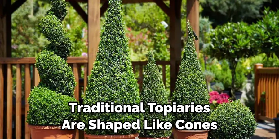  Traditional Topiaries Are Shaped Like Cones