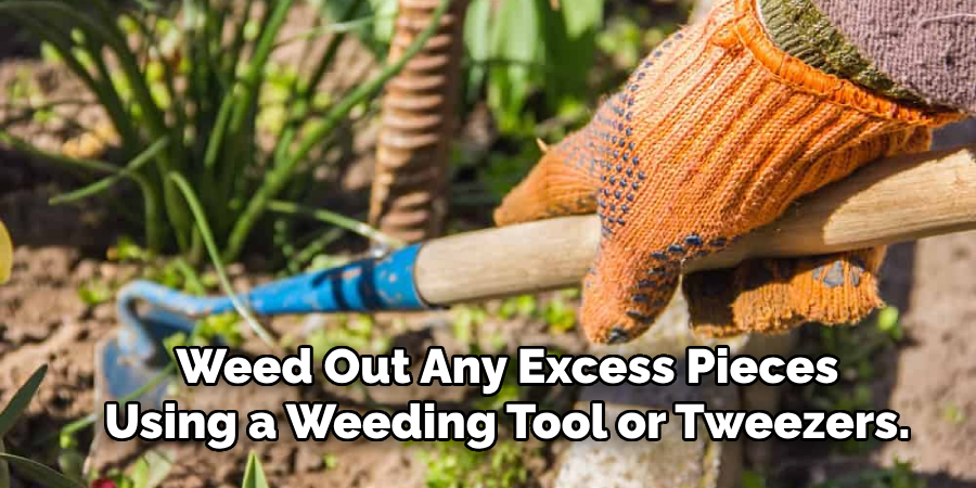 Weed Out Any Excess Pieces Using a Weeding Tool or Tweezers.