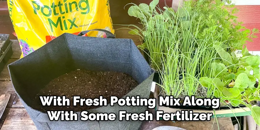 With Fresh Potting Mix Along With Some Fresh Fertilizer