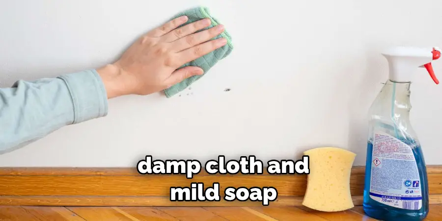  damp cloth and mild soap