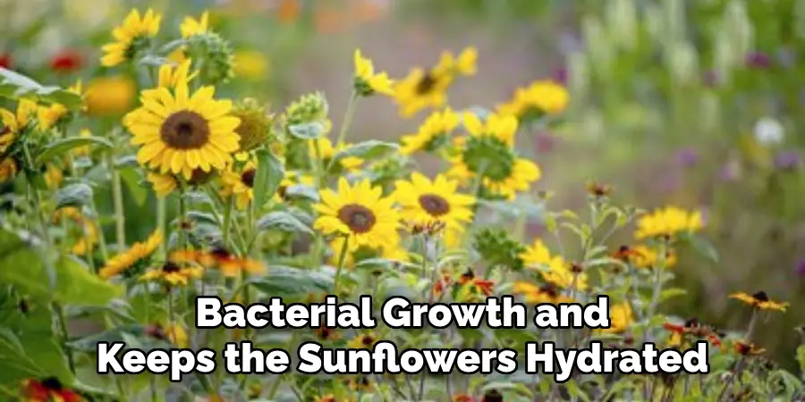 Bacterial Growth and Keeps the Sunflowers Hydrated