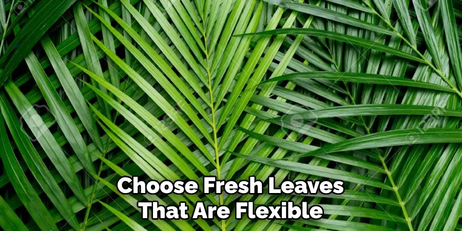 Choose Fresh Leaves That Are Flexible