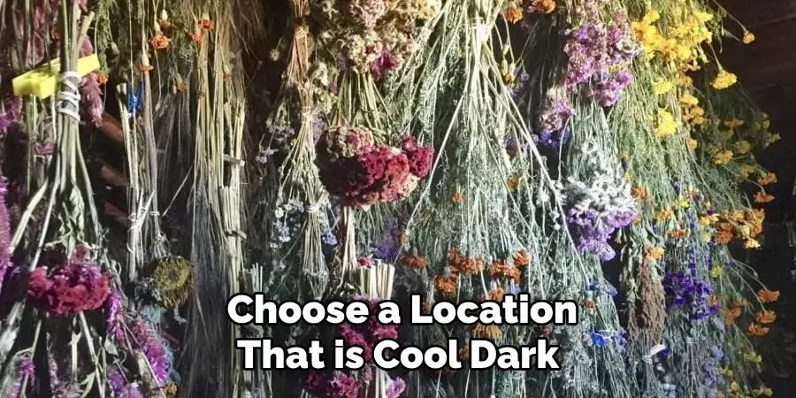  Choose a Location That is Cool Dark
