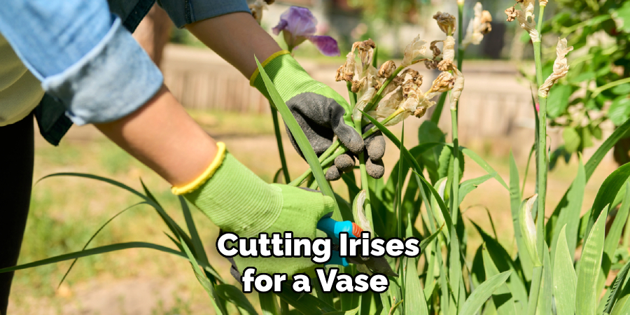  Cutting Irises for a Vase