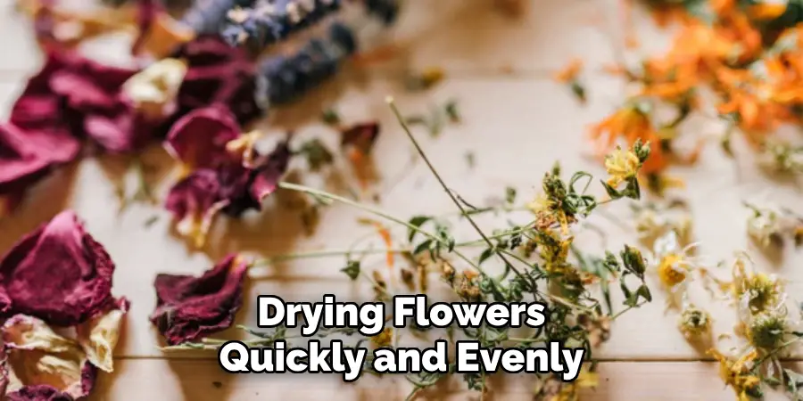 Drying Flowers Quickly and Evenly