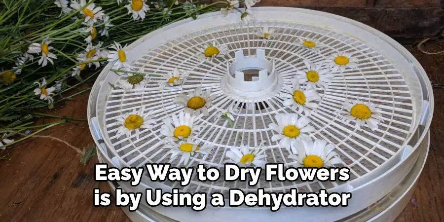 Easy Way to Dry Flowers is by Using a Dehydrator