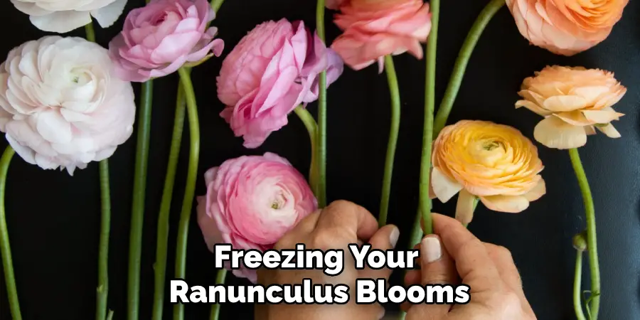 Freezing Your Ranunculus Blooms