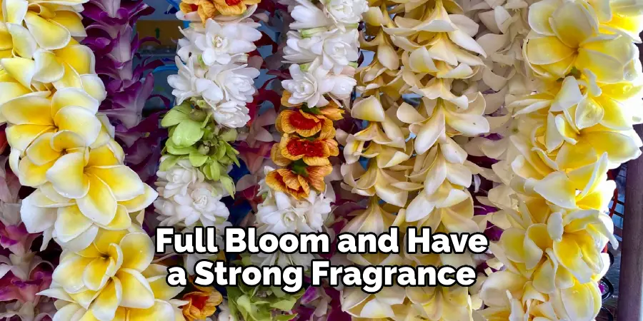 Full Bloom and Have a Strong Fragrance