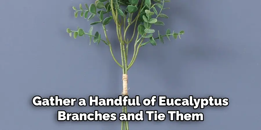 Gather a Handful of Eucalyptus Branches and Tie Them