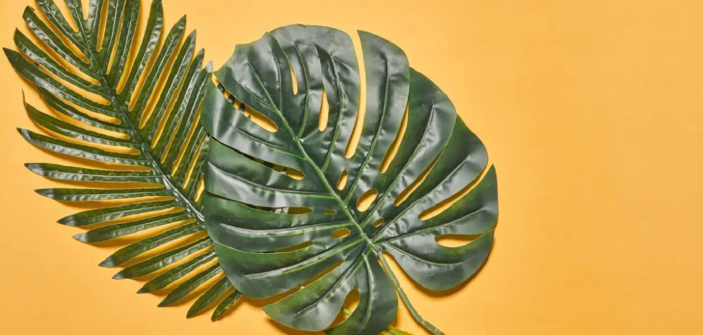 How to Make Things Out of Palm Leaves