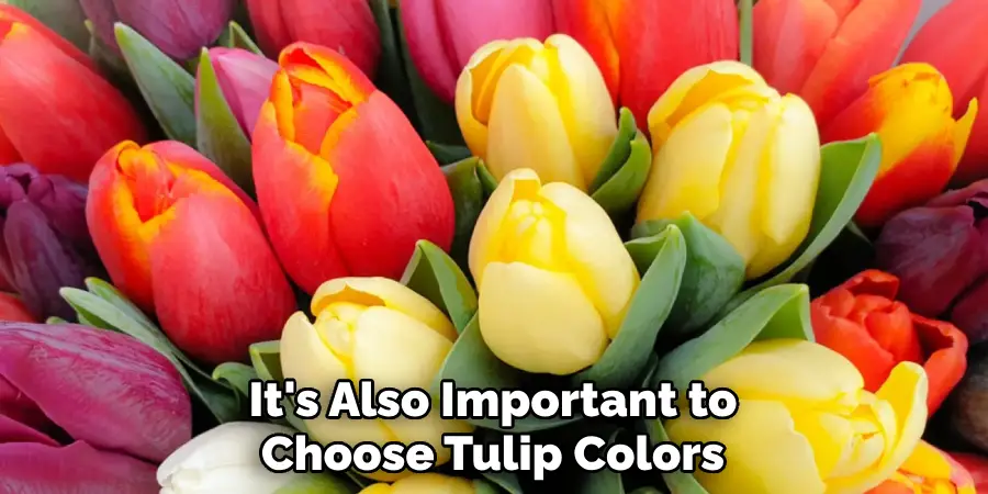 It's Also Important to Choose Tulip Colors
