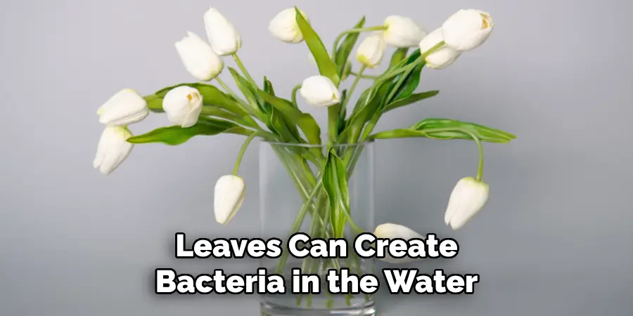Leaves Can Create Bacteria in the Water