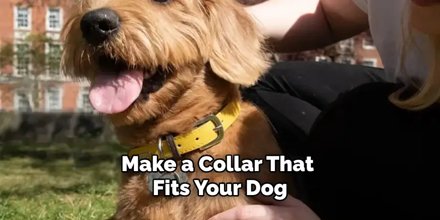 Make a Collar That Fits Your Dog