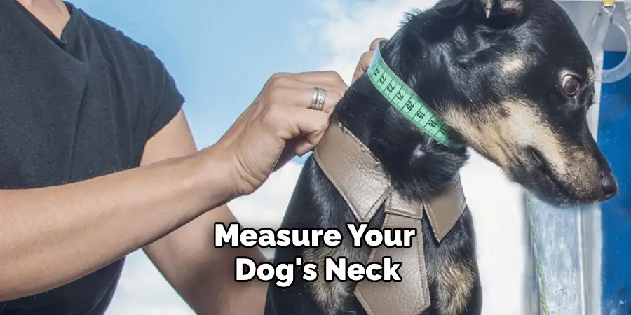 Measure Your Dog's Neck