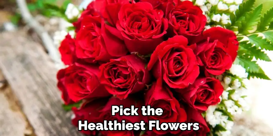 Pick the Healthiest Flowers