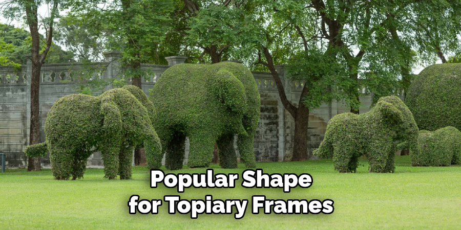 Popular Shape for Topiary Frames