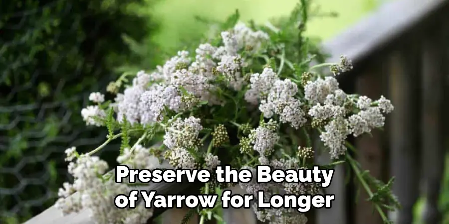 Preserve the Beauty of Yarrow for Longer