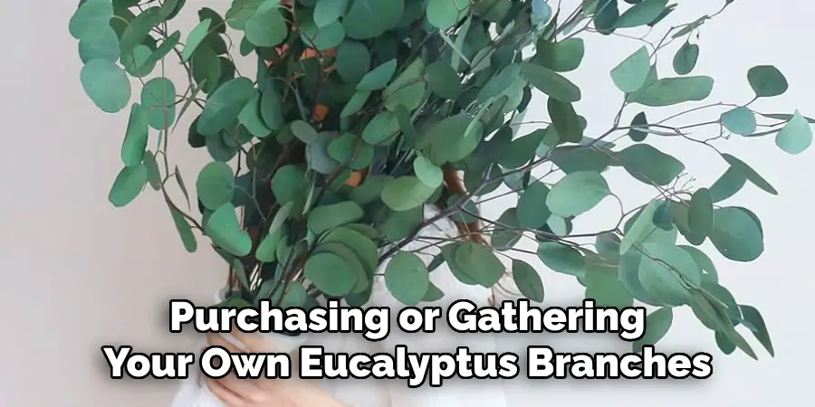 Purchasing or Gathering Your Own Eucalyptus Branches