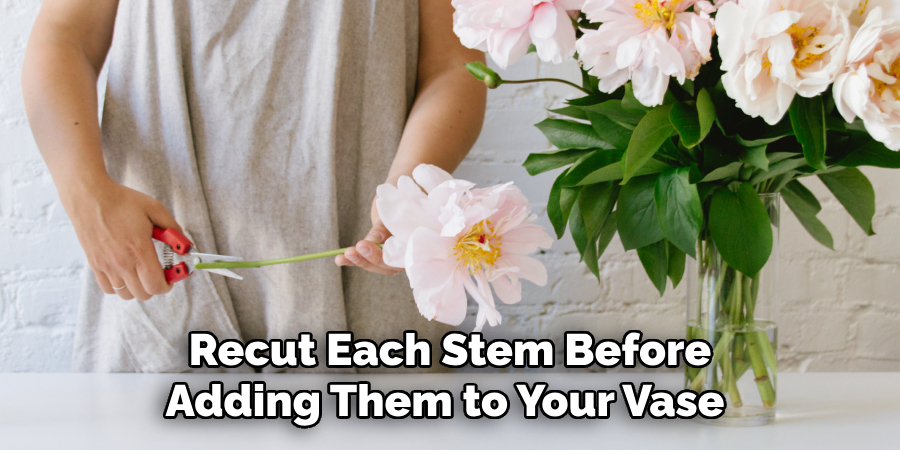 Recut Each Stem Before Adding Them to Your Vase 