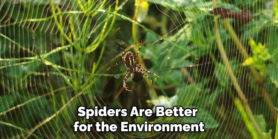 Spiders Are Better for the Environment