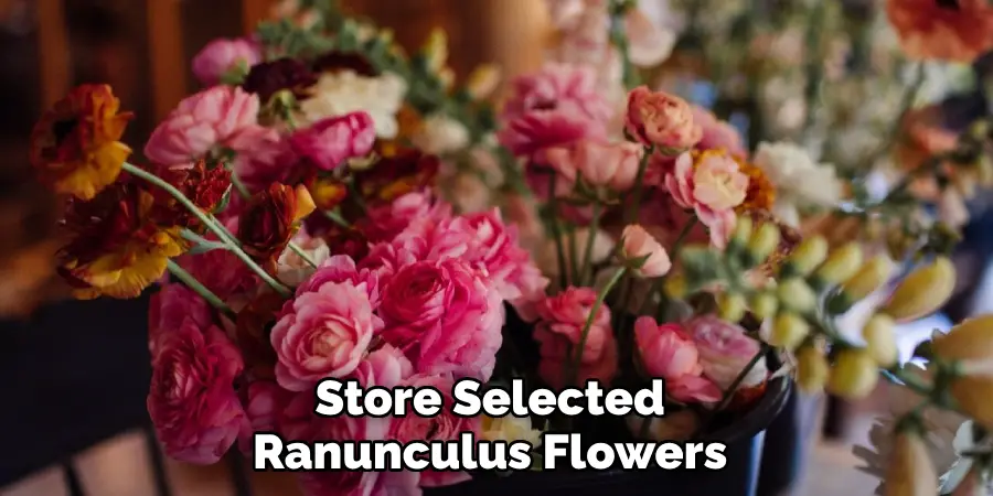 Store Selected Ranunculus Flowers 