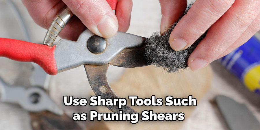 Use Sharp Tools Such as Pruning Shears 