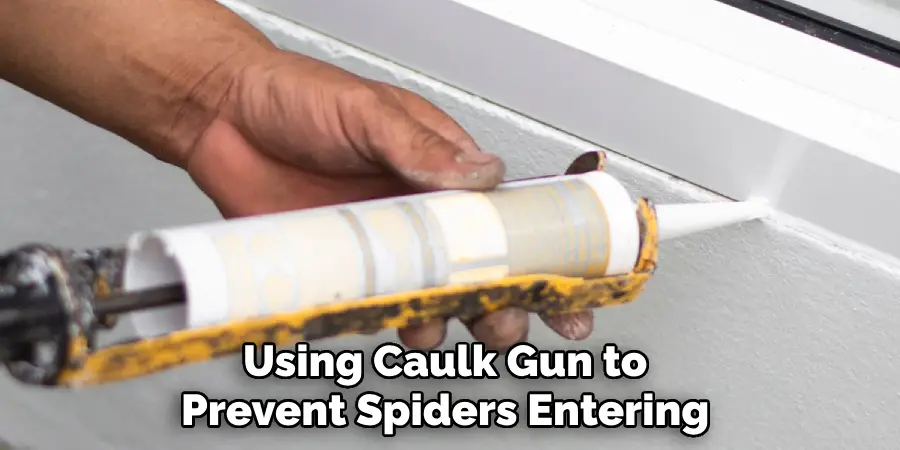 Using Caulk Gun to Prevent Spiders Entering 