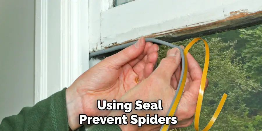Using Seal Prevent Spiders  