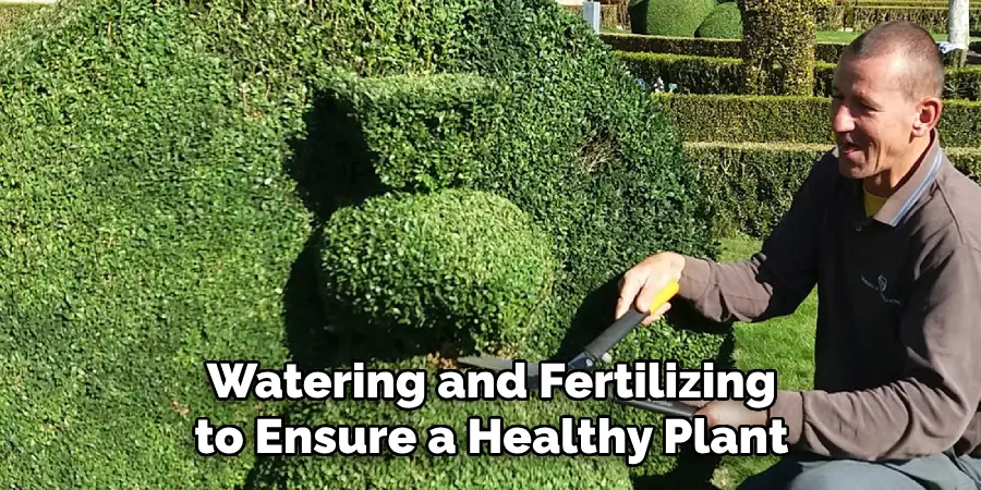 Watering and Fertilizing to Ensure a Healthy Plant