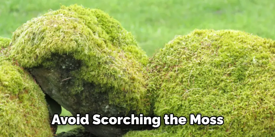 Avoid Scorching the Moss