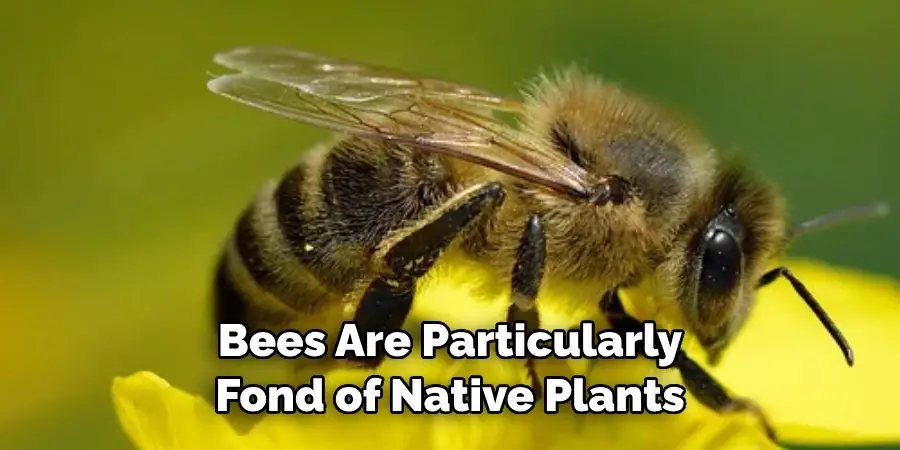 Bees Are Particularly 
Fond of Native Plants 