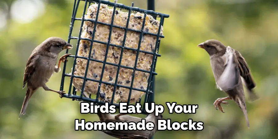 Birds Eat Up Your Homemade Blocks