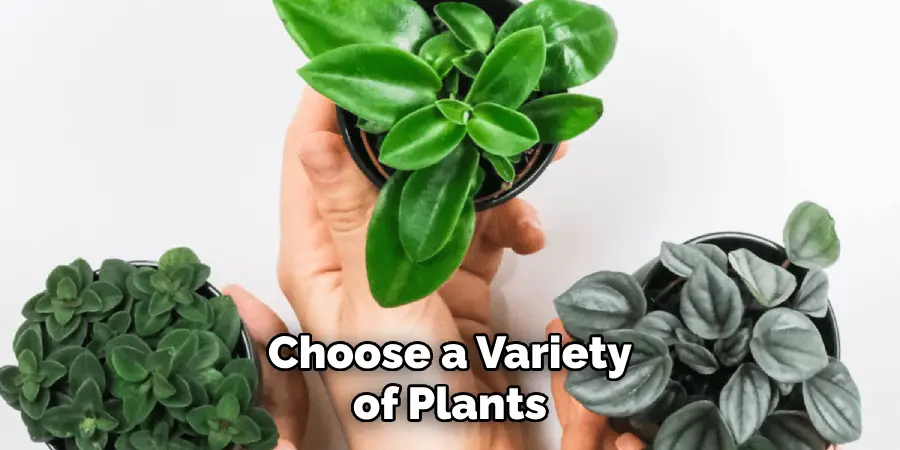 Choose a Variety of Plants